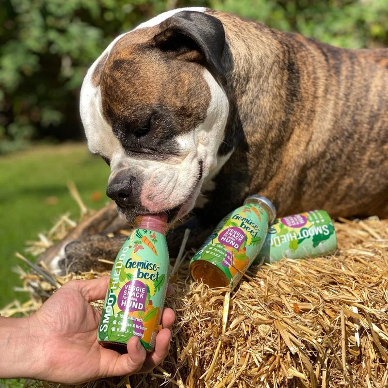 Smoothie Dog Veggie
