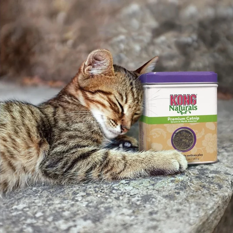 KONG Catnip Premium 28g