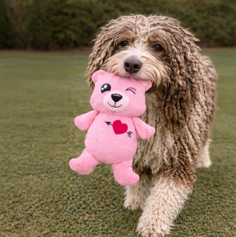 FuzzYard Love Collection Toy - Nothing Butt Love Bear
