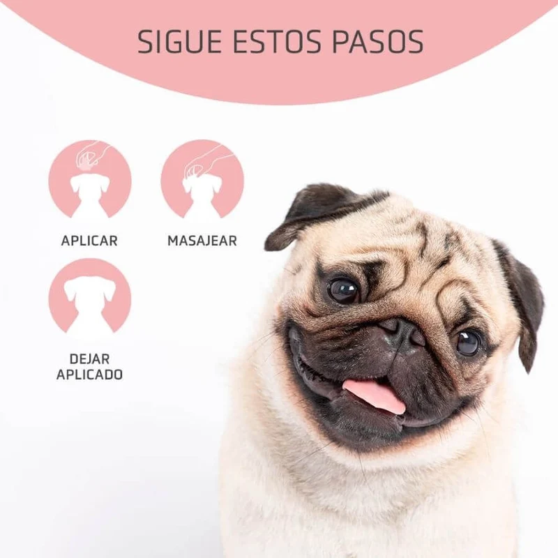 🐾 Artero Dfender Crema Reparadora 100 ml | Almohadillas, Nariz y Coderas para Perros y Gatos