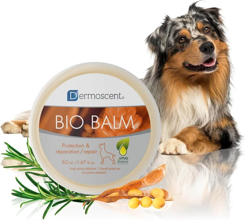 🐾 Biobalm 50 ml Dermoscent – Hidratación y protección natural para las patas, trufa y callos de tu perro