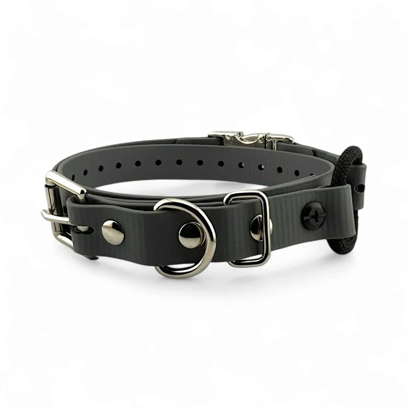 Small Dog MICRO 3/4” Quick Snap Bungee Collar