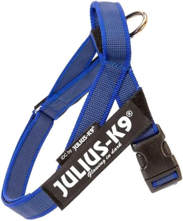 JULIUS K9 IDC Arnés Cinta Grey y Azul para perros