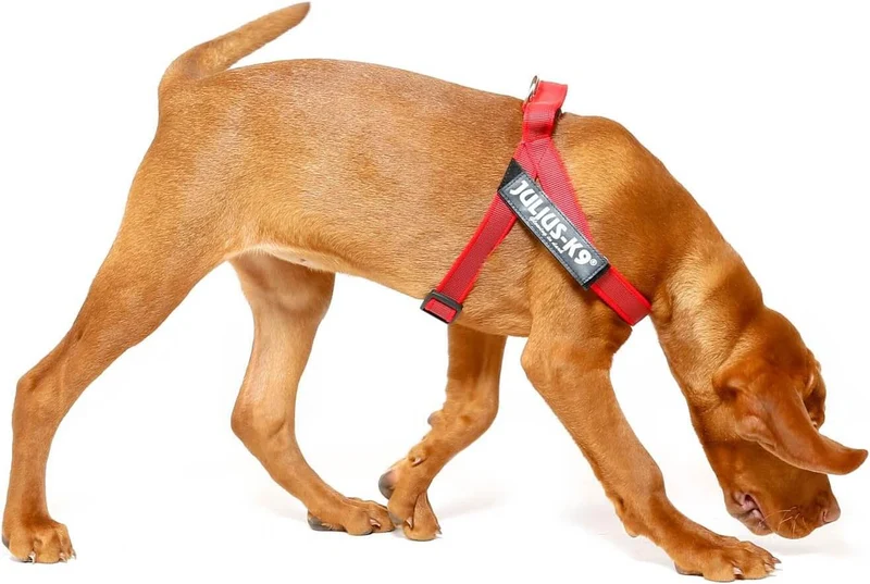 JULIUS K9 IDC Arnés Cinta Grey y Rojo para perros