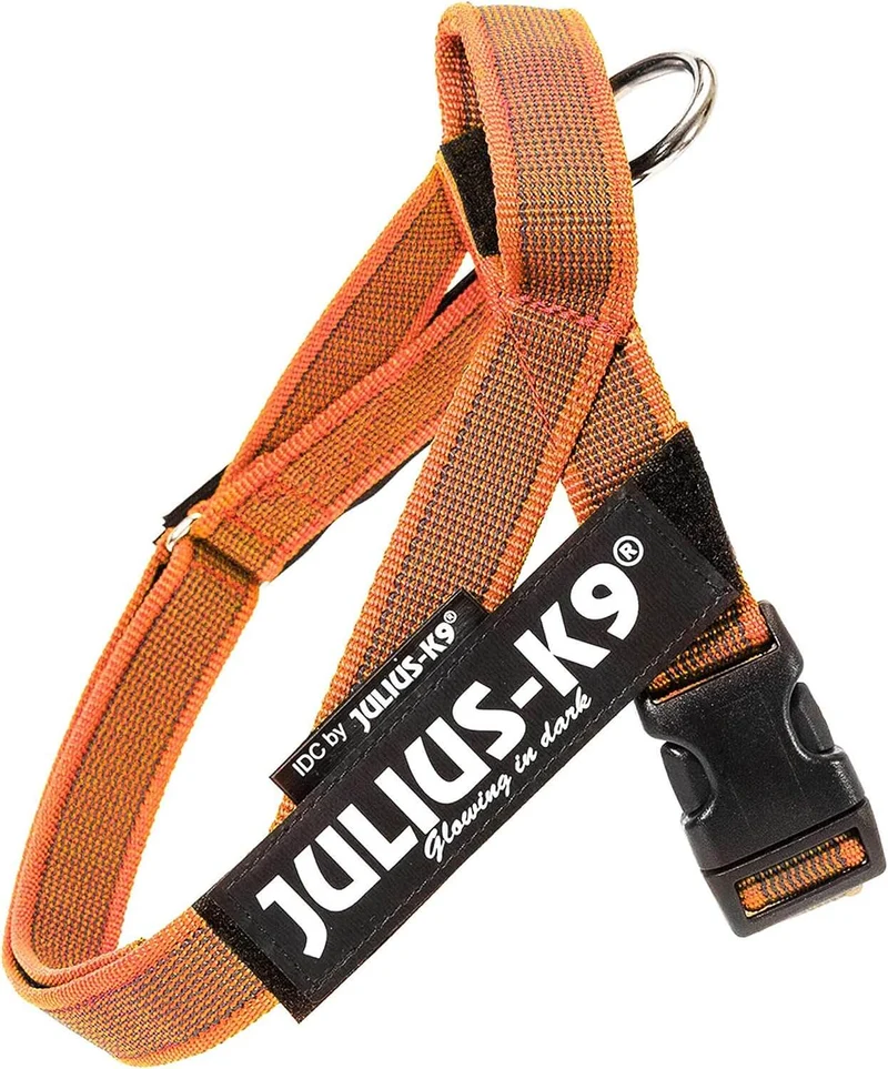 JULIUS K9 IDC Arnés Cinta Grey y Naranja para perros