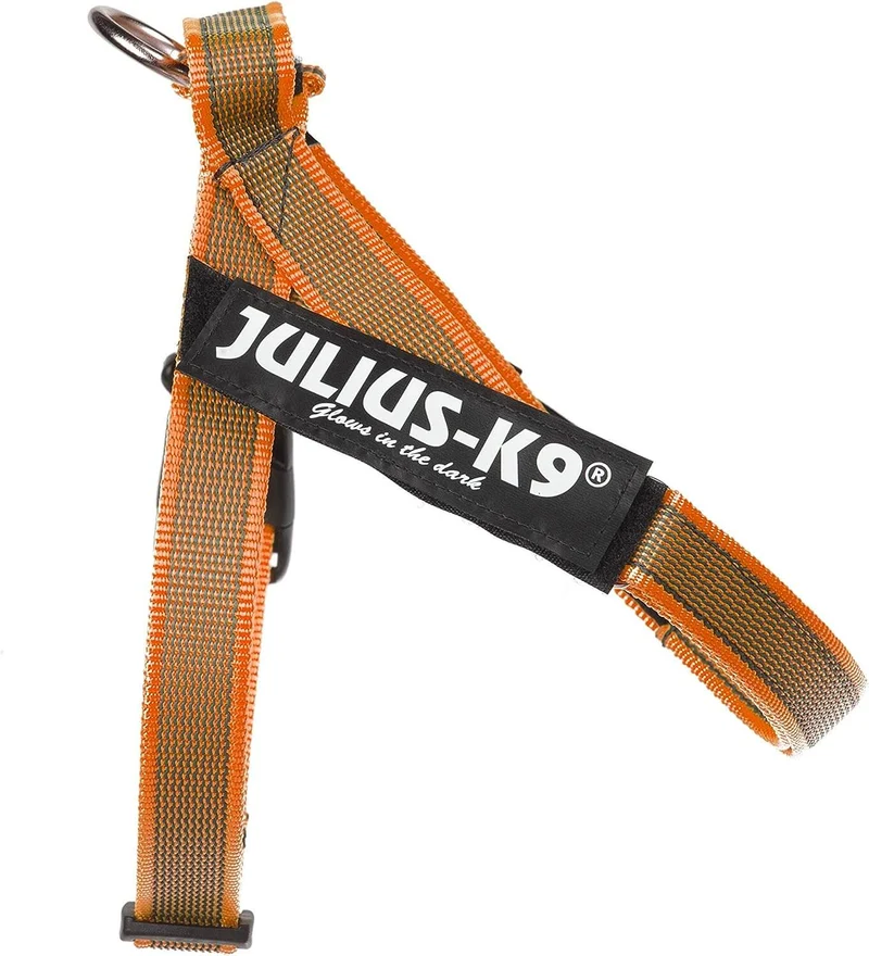 JULIUS K9 IDC Arnés Cinta Grey y Naranja para perros
