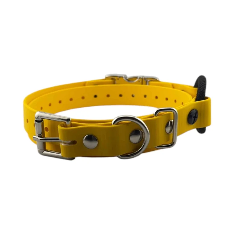 3/4” Quick Snap Bungee Collar