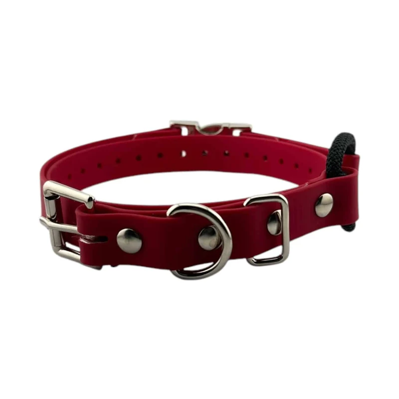 3/4” Quick Snap Bungee Collar