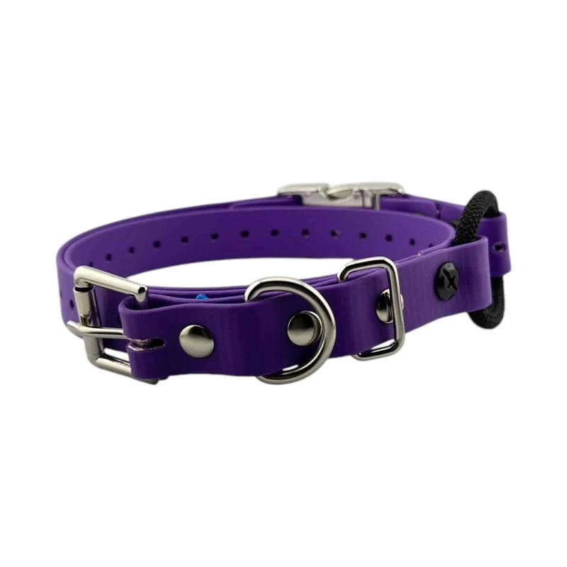 3/4” Quick Snap Bungee Collar
