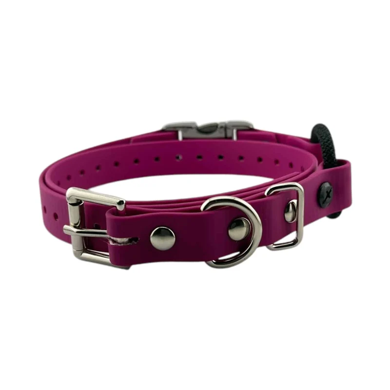 3/4” Quick Snap Bungee Collar
