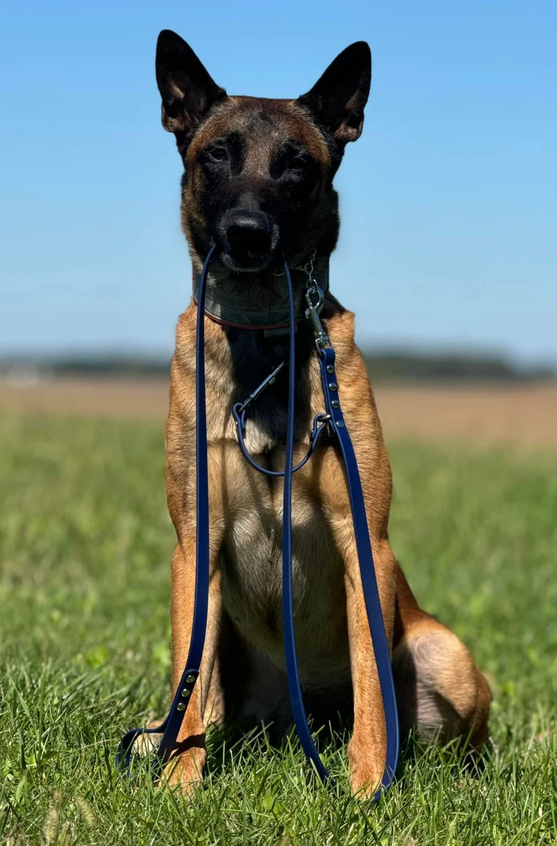 Prong Safety Leash 1/2” Version