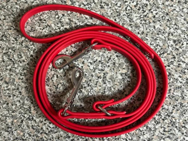 Prong Safety Leash 1/2” Version