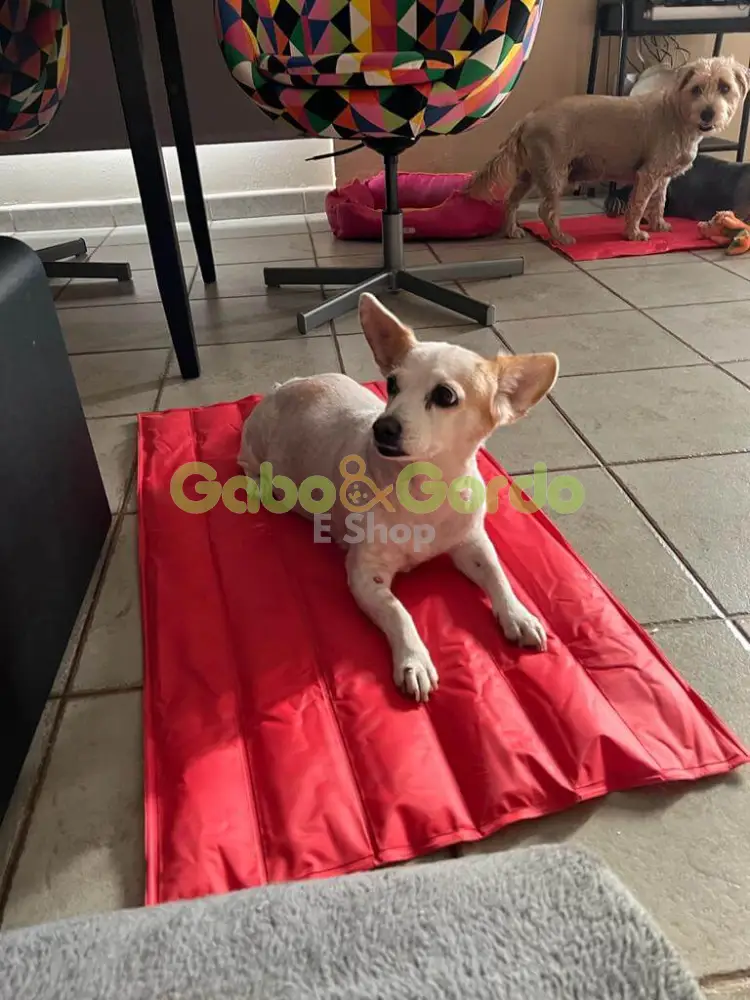 🐾 NAYECO Cool Mat Coral | Colchoneta Refrescante para Mascotas – ¡Frescor instantáneo sin enchufes ni congelación! ☀️