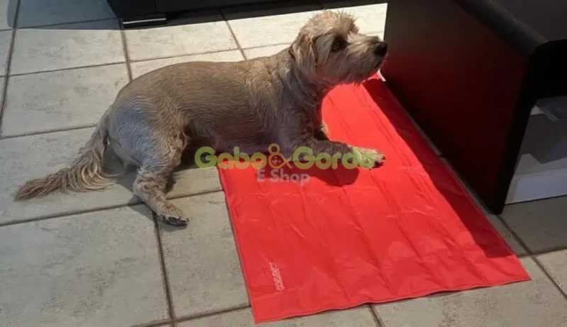 🐾 NAYECO Cool Mat Coral | Colchoneta Refrescante para Mascotas – ¡Frescor instantáneo sin enchufes ni congelación! ☀️