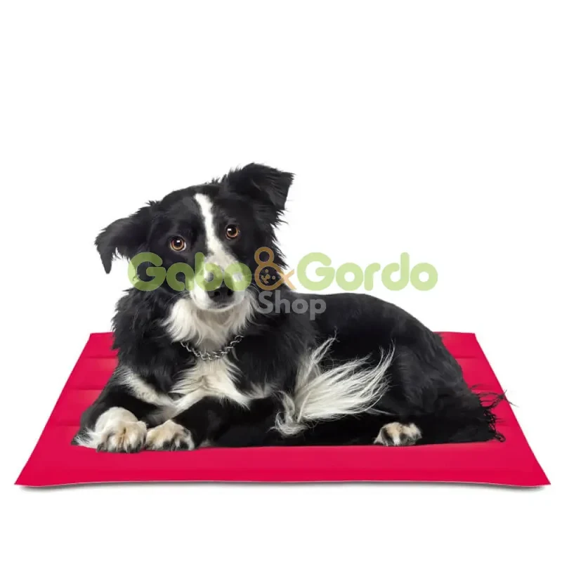 🐾 NAYECO Cool Mat Coral | Colchoneta Refrescante para Mascotas – ¡Frescor instantáneo sin enchufes ni congelación! ☀️