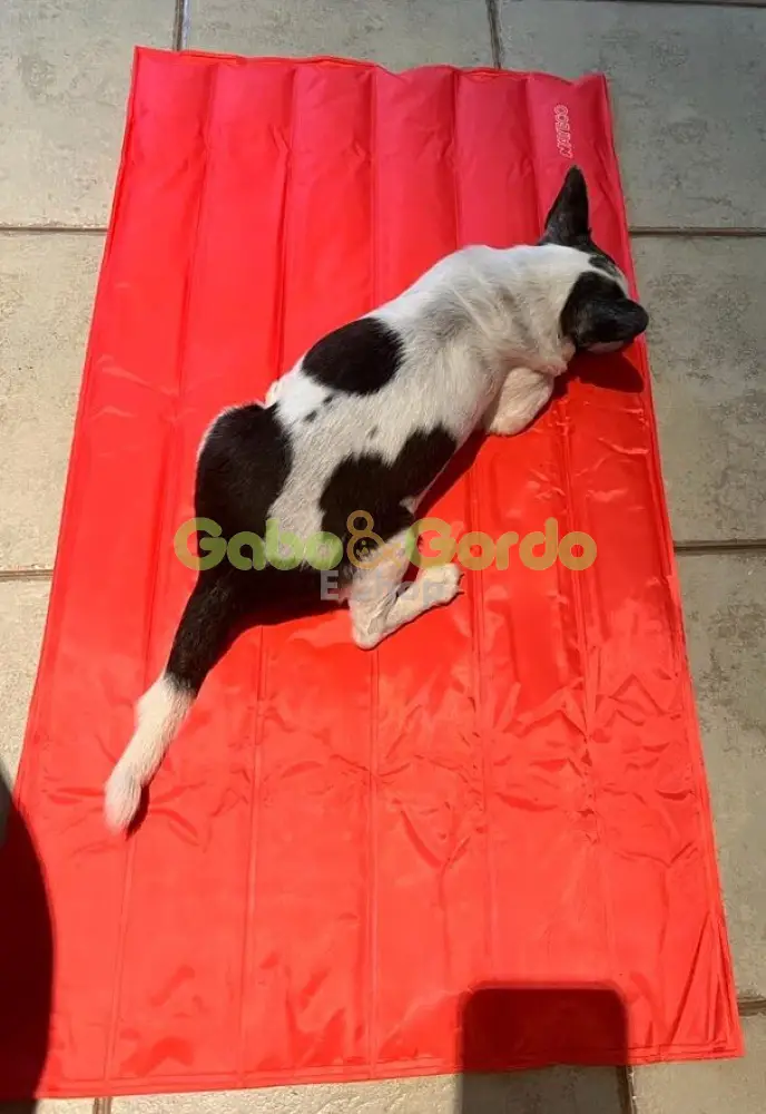 🐾 NAYECO Cool Mat Coral | Colchoneta Refrescante para Mascotas – ¡Frescor instantáneo sin enchufes ni congelación! ☀️