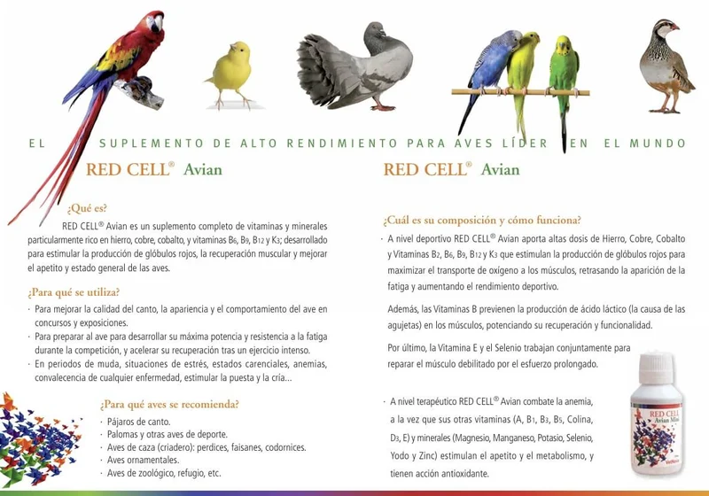 VETNOVA Red Cell Avian 500 ml – Suplemento Nutricional para Aves | Estimula la Salud y la Vitalidad
