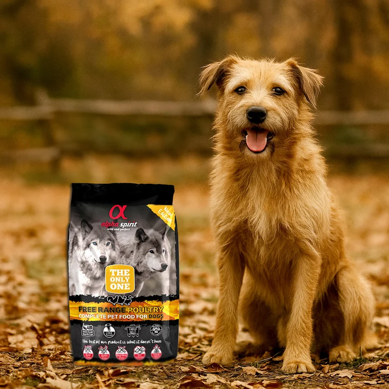 Alpha Spirit Dog The Only One Aves de Corral
