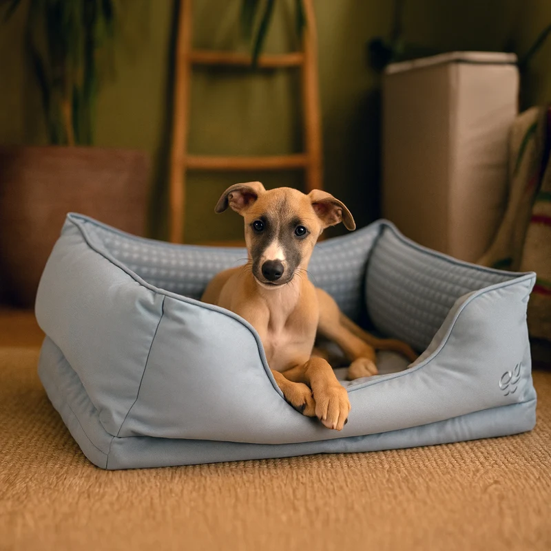 Freedog Cuna Glacial Azul