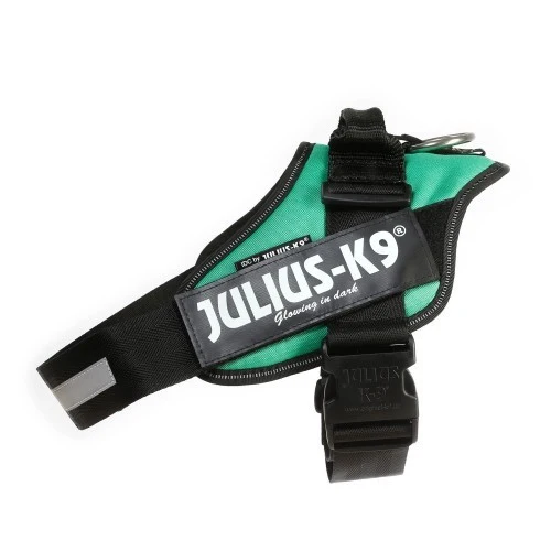 🟢 JULIUS K9 IDC Powerharness Verde Oscuro | Arnés profesional para perros