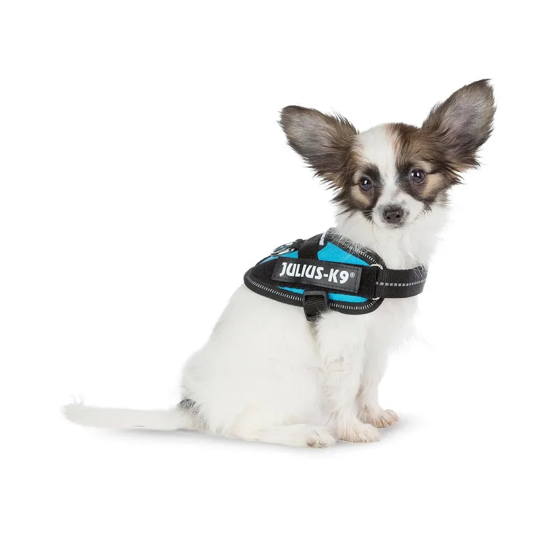💧 JULIUS K9 IDC Powerharness Aguamarina | Arnés ergonómico y reflectante para perro