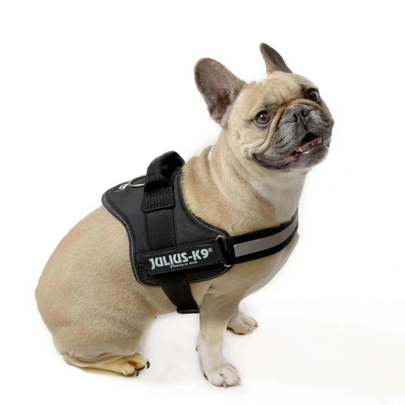 🖤 JULIUS K9 IDC Powerharness Negro | Arnés profesional, cómodo y seguro para perro