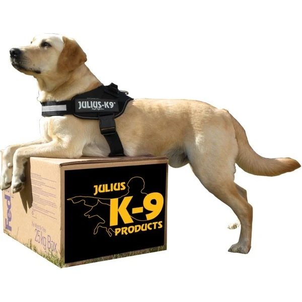 🖤 JULIUS K9 IDC Powerharness Negro | Arnés profesional, cómodo y seguro para perro
