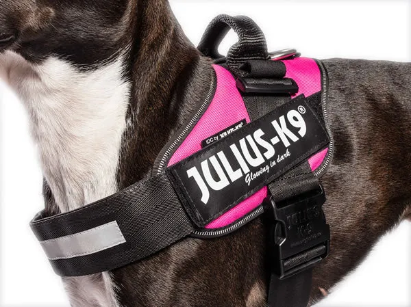 Arnés JULIUS K9 IDC Fucsia para Perros – Ergonómico y Seguro