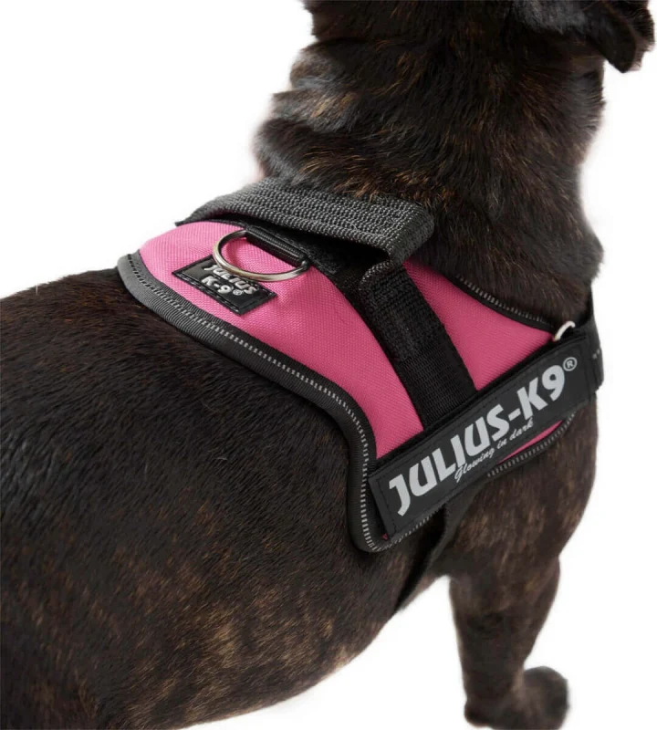 Arnés JULIUS K9 IDC Fucsia para Perros – Ergonómico y Seguro