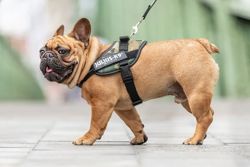 JULIUS K9 IDC Powerharness arnés Camuflaje para perro