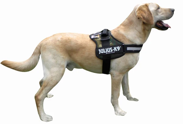 JULIUS K9 IDC Powerharness arnés Camuflaje para perro