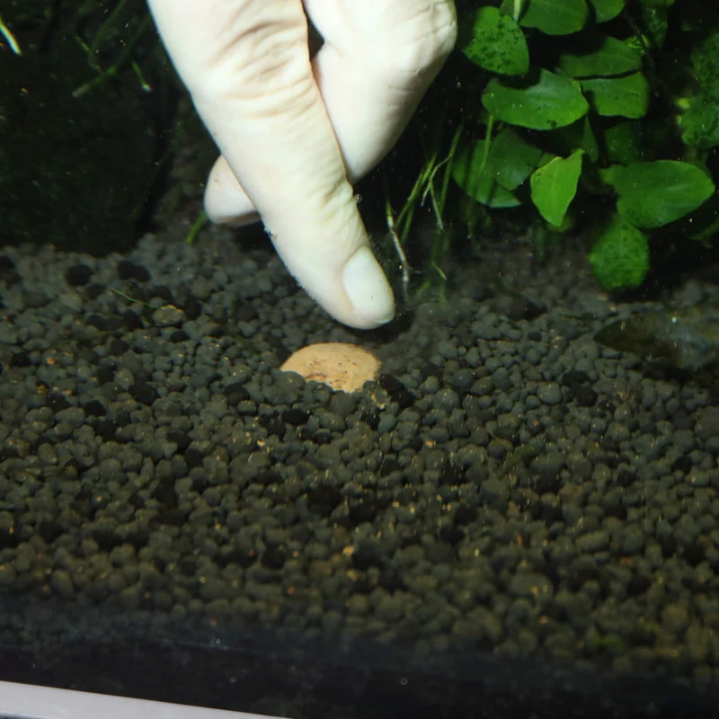 JBL Las 7 Bolas | Nutrición y Protección para Peces y Plantas en Acuarios de Agua Dulce