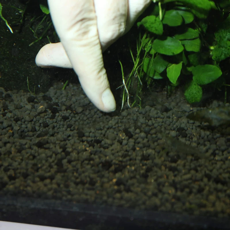 JBL Las 7 Bolas | Nutrición y Protección para Peces y Plantas en Acuarios de Agua Dulce