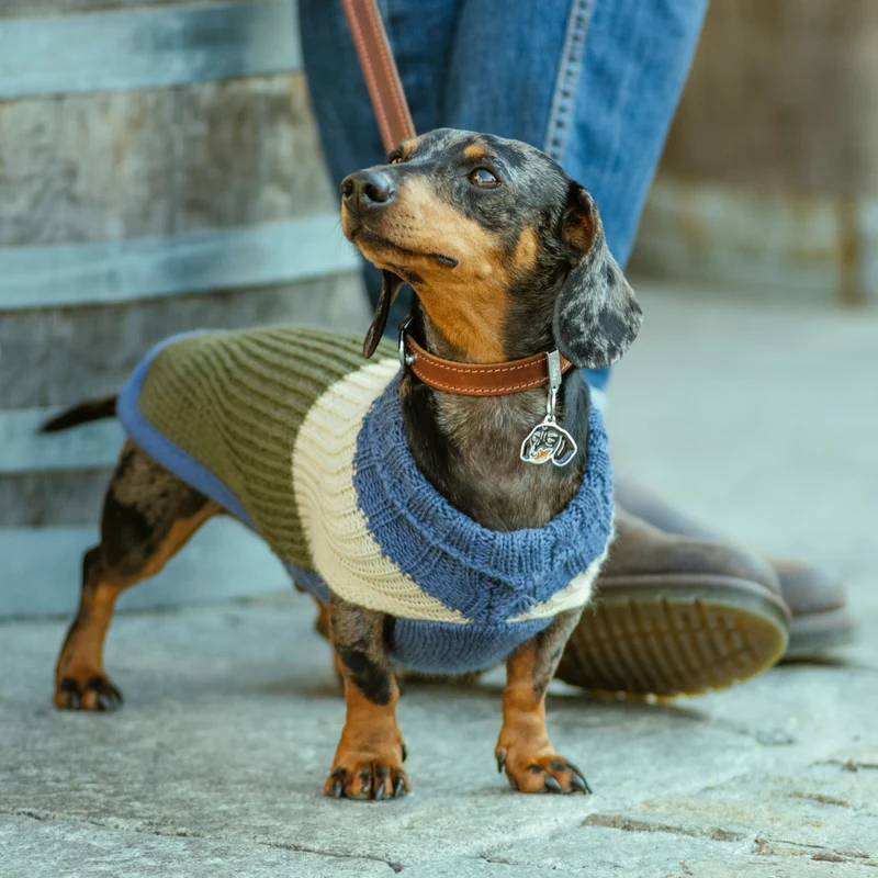 Placa Identificativa MyFamily Brown Dachshund