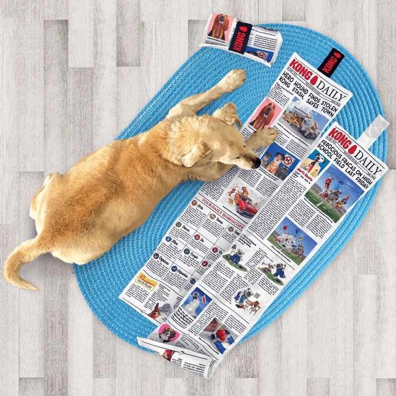 KONG Daily Newspaper XL