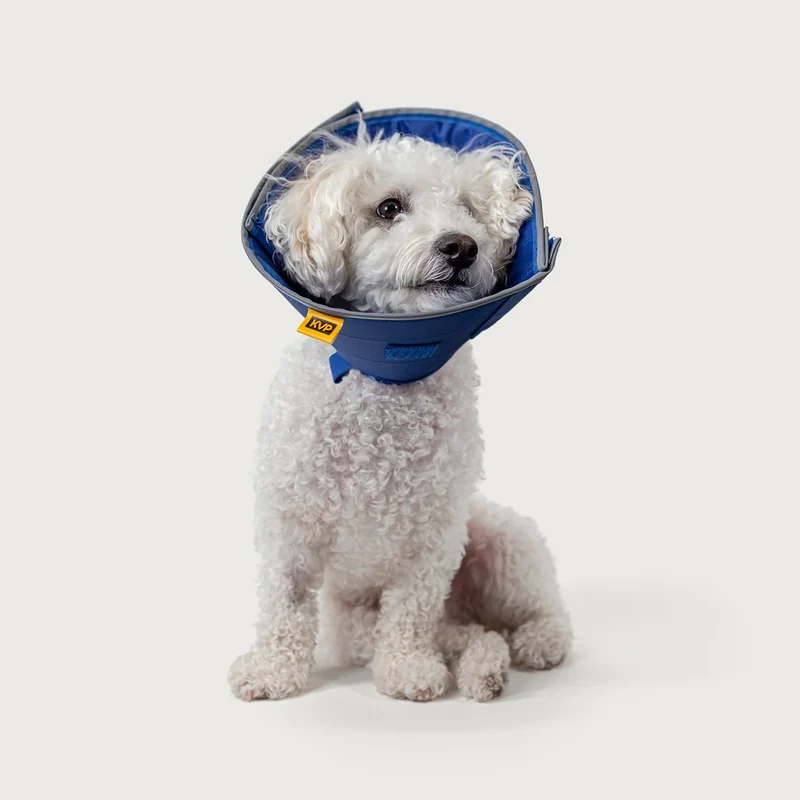 KVP Calmer - Collar Isabelino