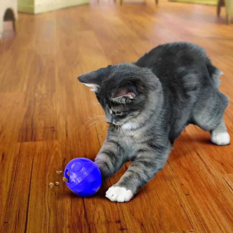 KONG Cat Active Pelota Dispensadora de Snacks