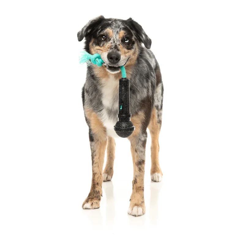 FuzzYard Interactive Chew Toy - Mic Drop