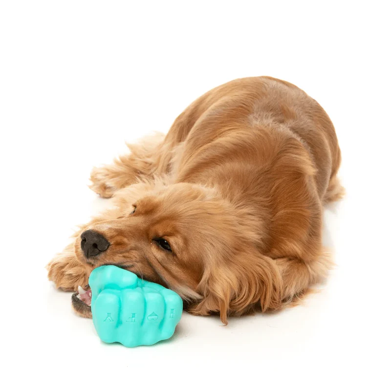 FuzzYard Interactive Chew Toy - Knuckle Sandwich