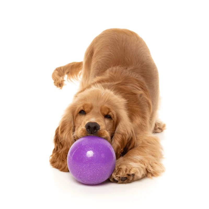 FuzzYard Interactive Chew Toy - Truth Tellin' Treat Ball
