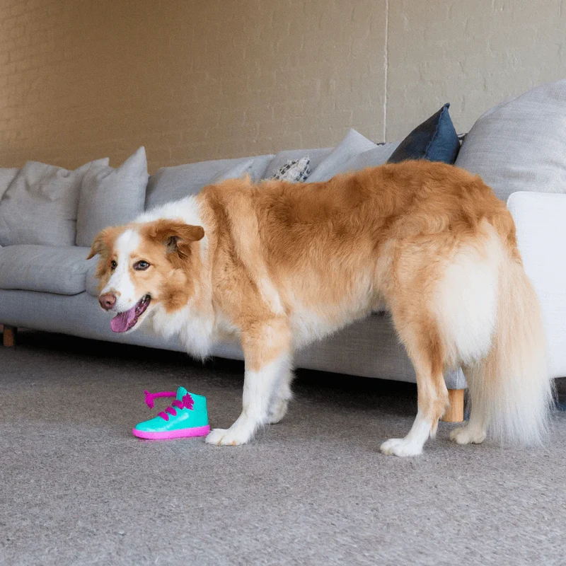 FuzzYard Interactive Chew Toy - Fresh Kicks n' Licks