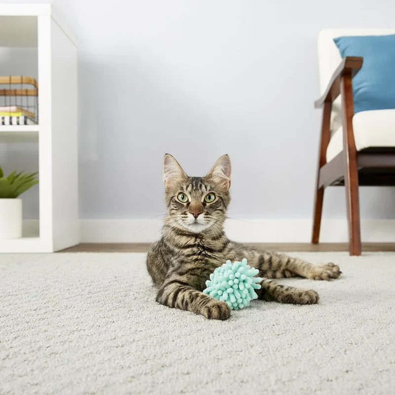 KONG Moppy Ball Pelota para Gatos