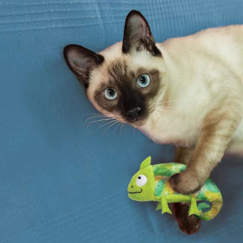KONG Cat Peluche Camaleón Rellenable Catnip
