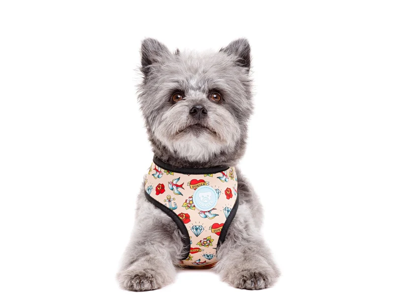 🐾 DUKIER Arnés Reversible Tattoo para perros
