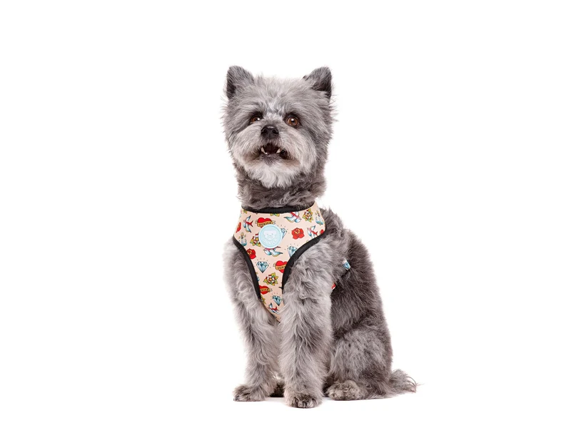 🐾 DUKIER Arnés Reversible Tattoo para perros