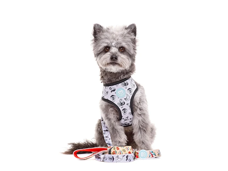 🐾 DUKIER Arnés Reversible Tattoo para perros