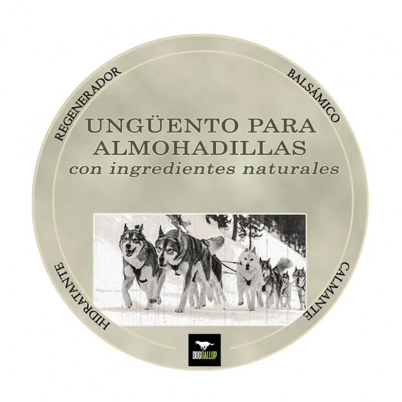 🐾 DOGGALLOP Pomada para Almohadillas 100 ml | Regeneradora, Calmante e Hidratante para Perros y Gatos – Envío Gratis en Gran Canaria a partir de 30€