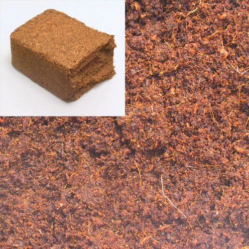 Sustrato Natural de Humus de Coco para Terrarios – TerraCoco