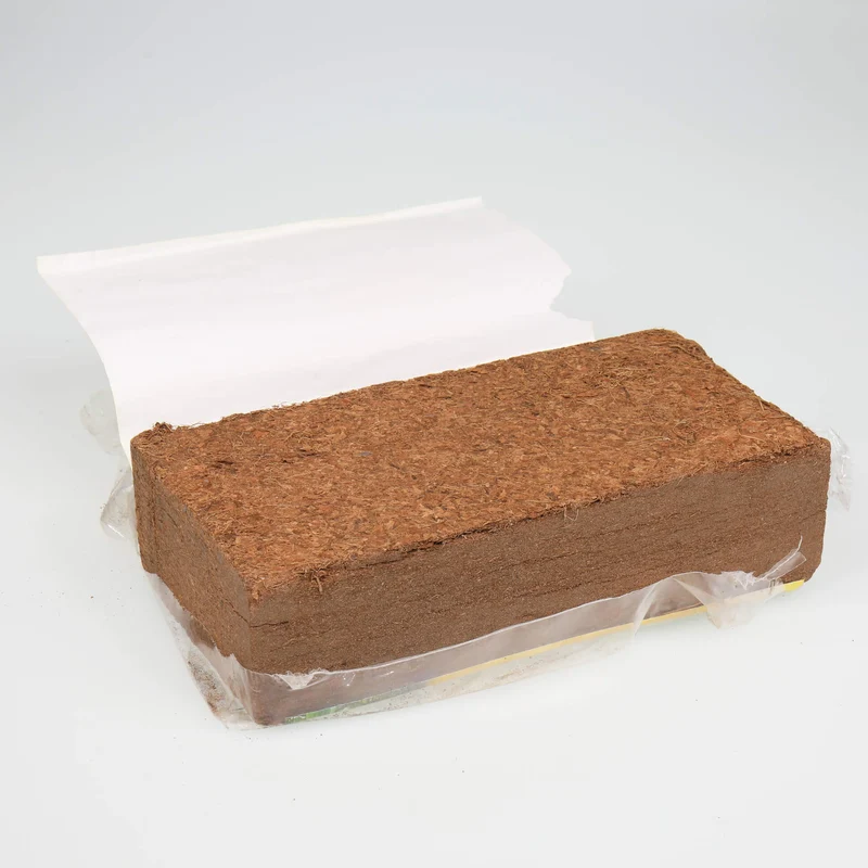 Sustrato Natural de Humus de Coco para Terrarios – TerraCoco