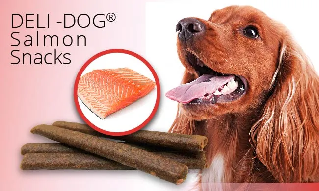 🦴 DELI-DOG SNACKS 800 g | Barritas naturales para perros | Varios sabores